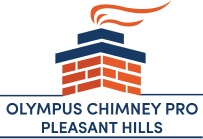 Olympus Chimney Pro